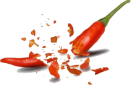 Jugaad Indian Cuisine
